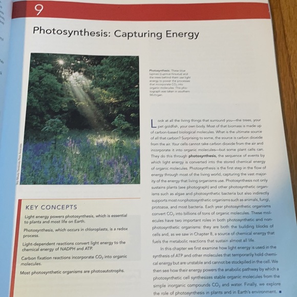 Solomon Berg Martin Biology Volume 1 8th Edition - Picture 3 of 3